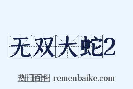 无双大蛇2是什么意思的图片